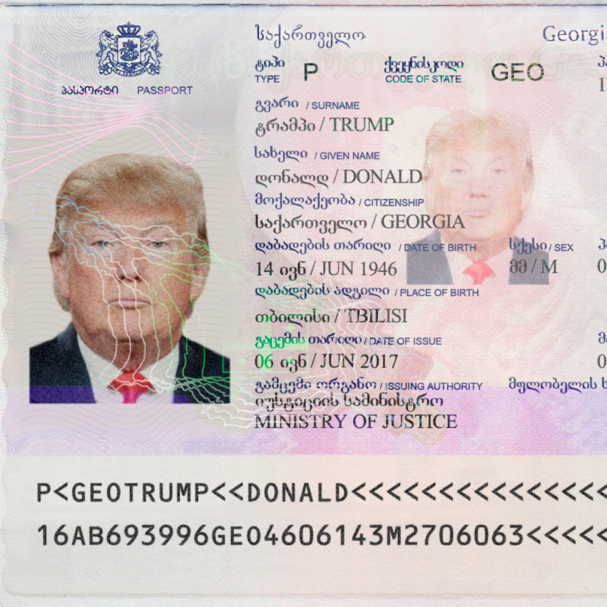 Georgia Passport-2