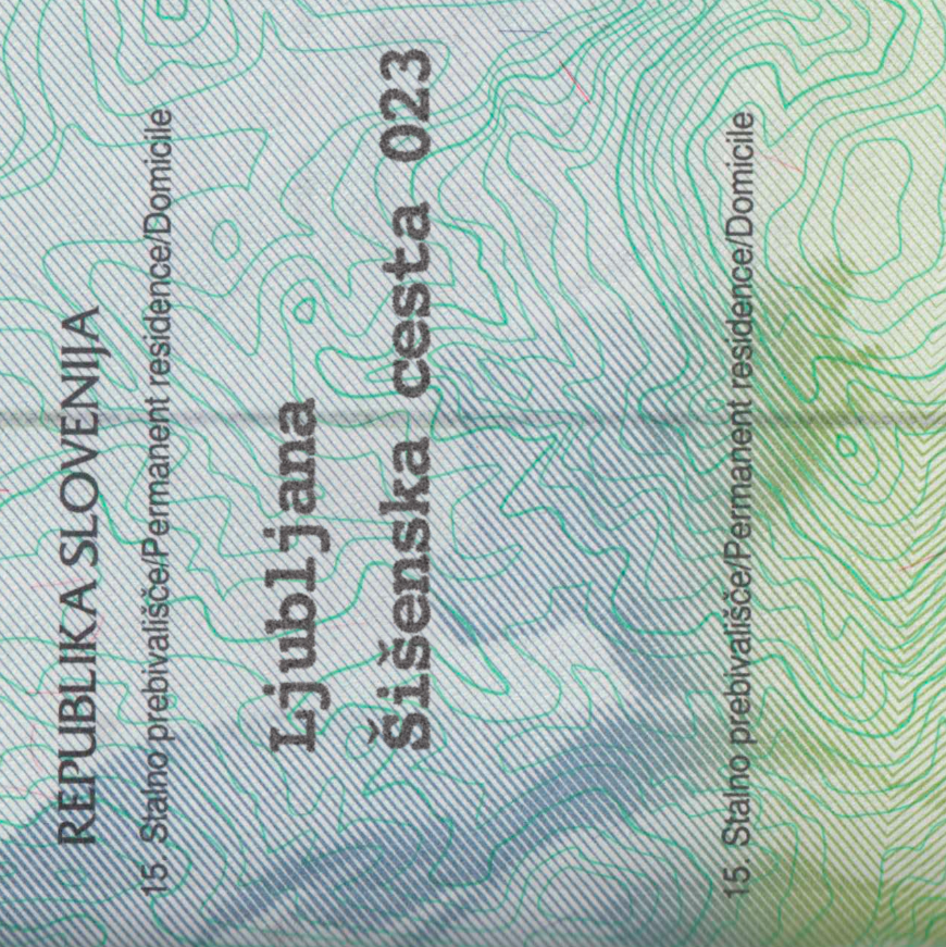 Slovenia Passport-3