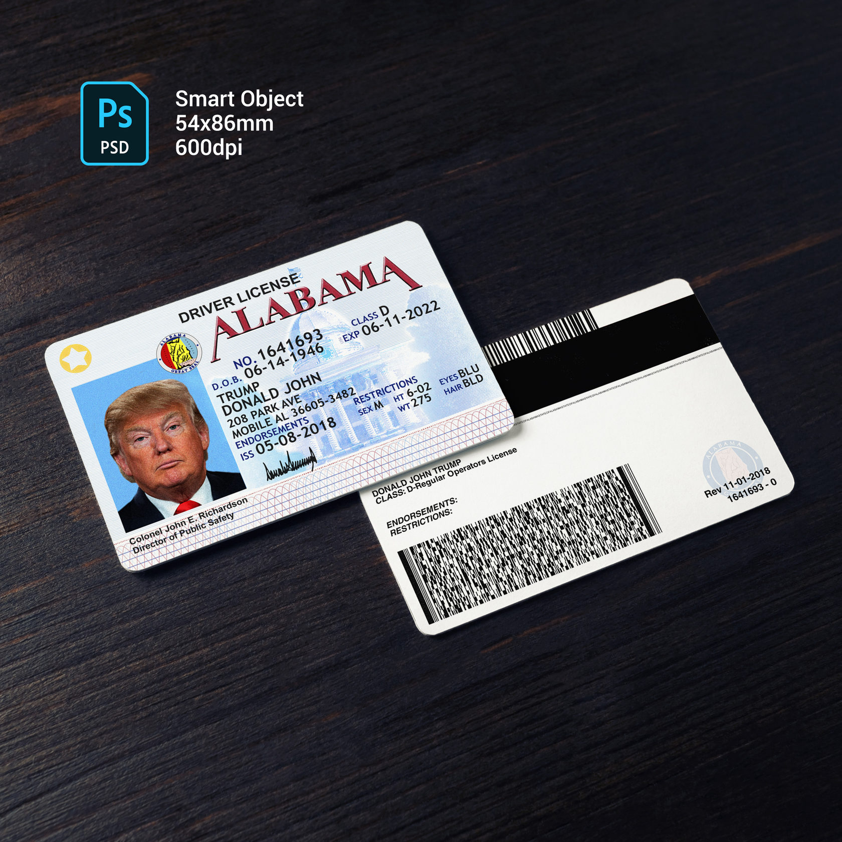 Alabama Driver License1