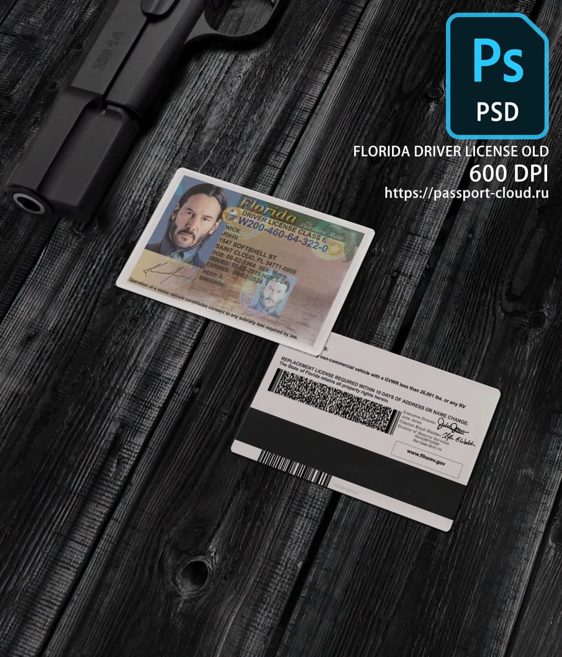 Florida Driver License OLD1