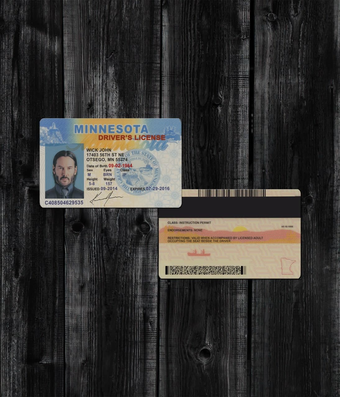 Minnesota Driver License OLD2