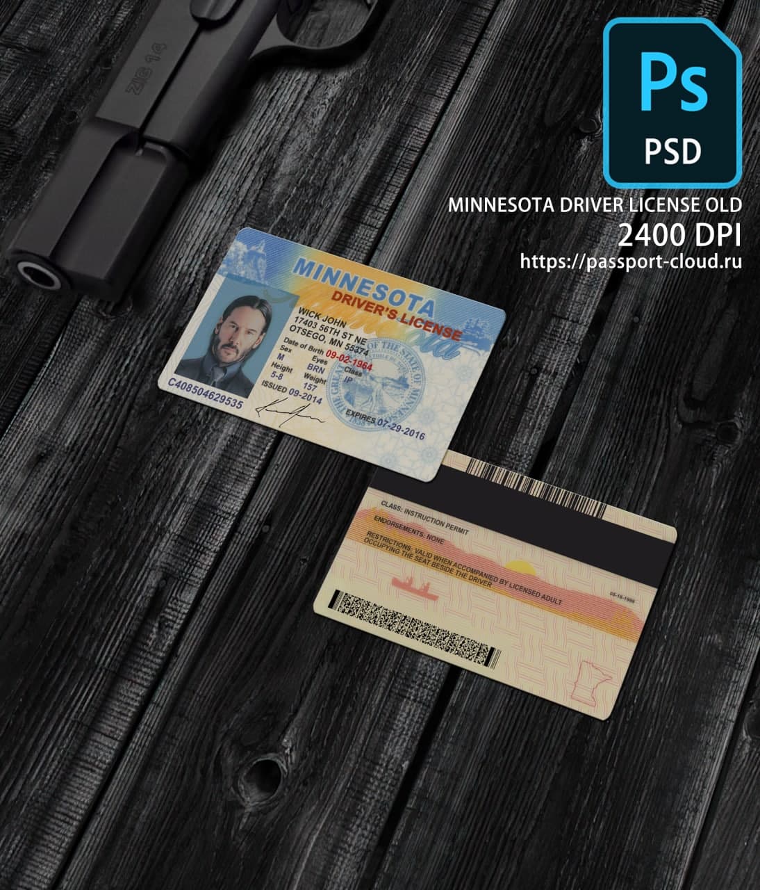 Minnesota Driver License OLD1