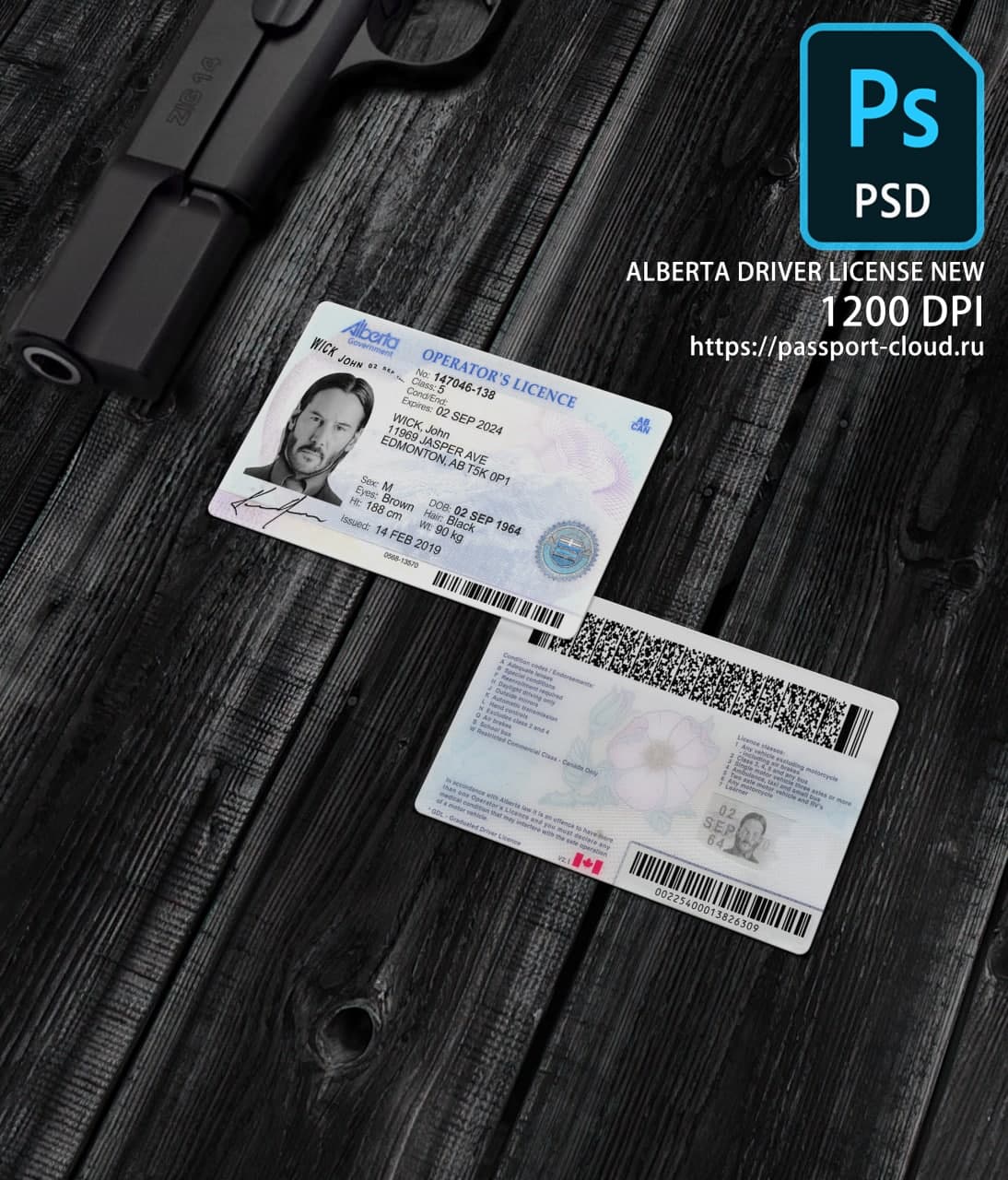 Alberta Driver License NEW1