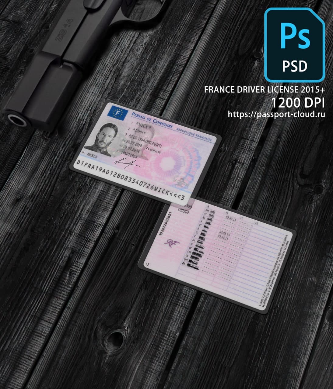 France Driver License 2015+ PSD1
