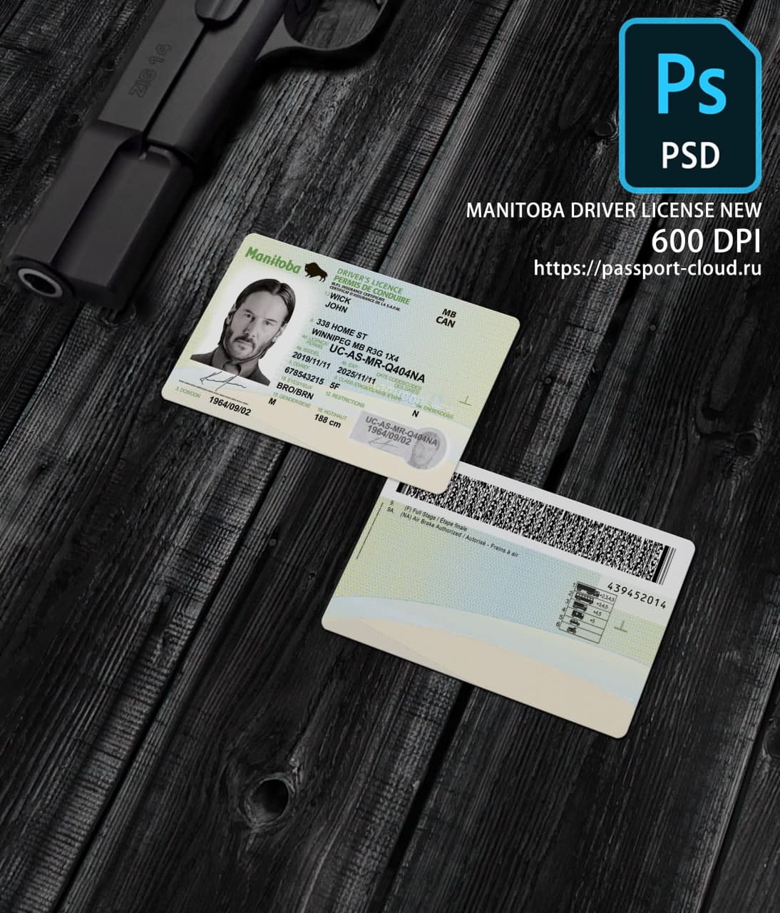 Manitoba Driver License NEW1
