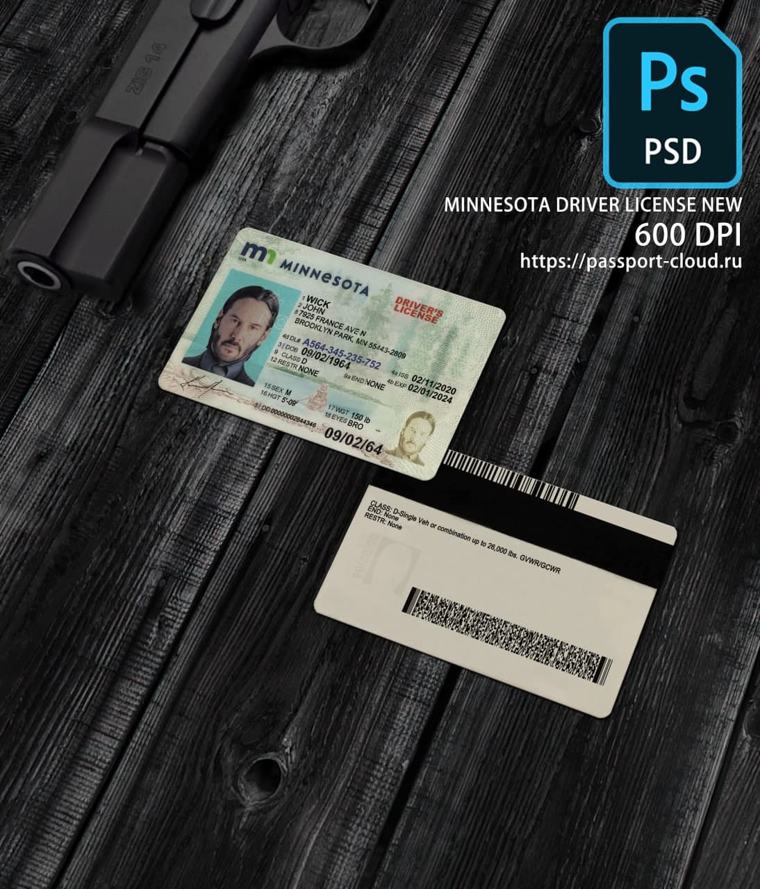 Minnesota Driver License NEW1