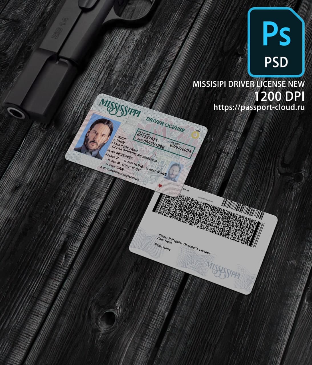 Missisipi Driver License NEW1