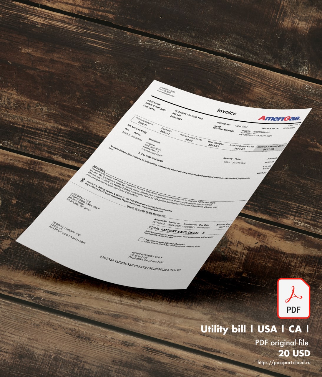 United States of America Bill Template1